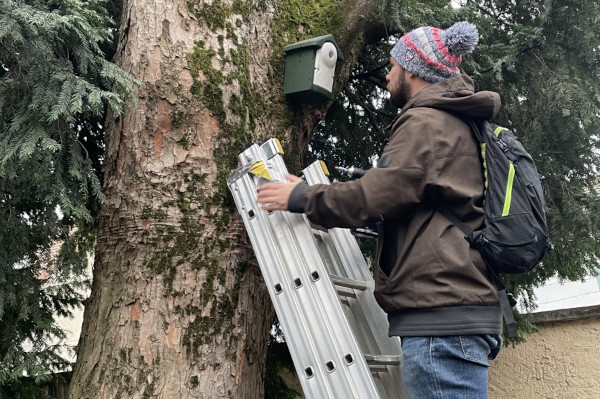 Pose d'un nichoir pour passereaux en béton de bois © Emma Didelon